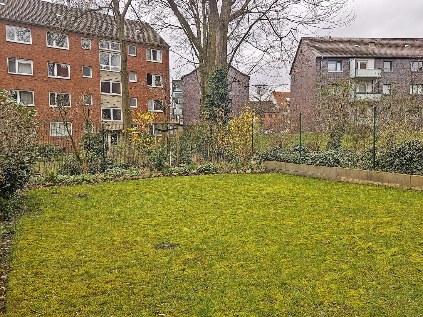 Blick in den Garten